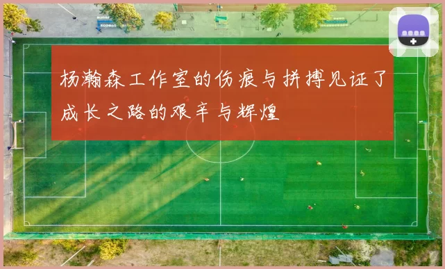 杨瀚森工作室的伤痕与拼搏见证了成长之路的艰辛与辉煌